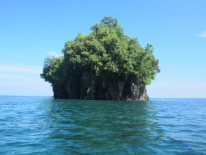 Sejarah Desa Campaka